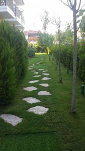 IMG-20170616-WA0025