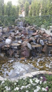 IMG-20170616-WA0029