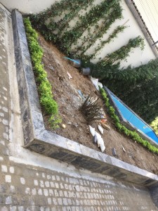 IMG-20180513-WA0010