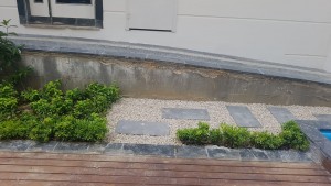 IMG-20180602-WA0010
