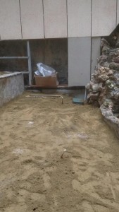 IMG-20181222-WA0004