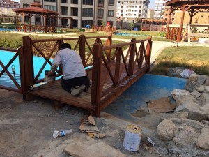 IMG-20180731-WA0009