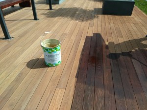 IMG-20180731-WA0016